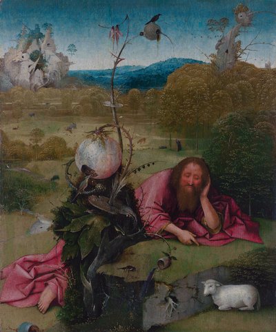 Johannes der Täufer in der Wildnis von Hieronymus Bosch